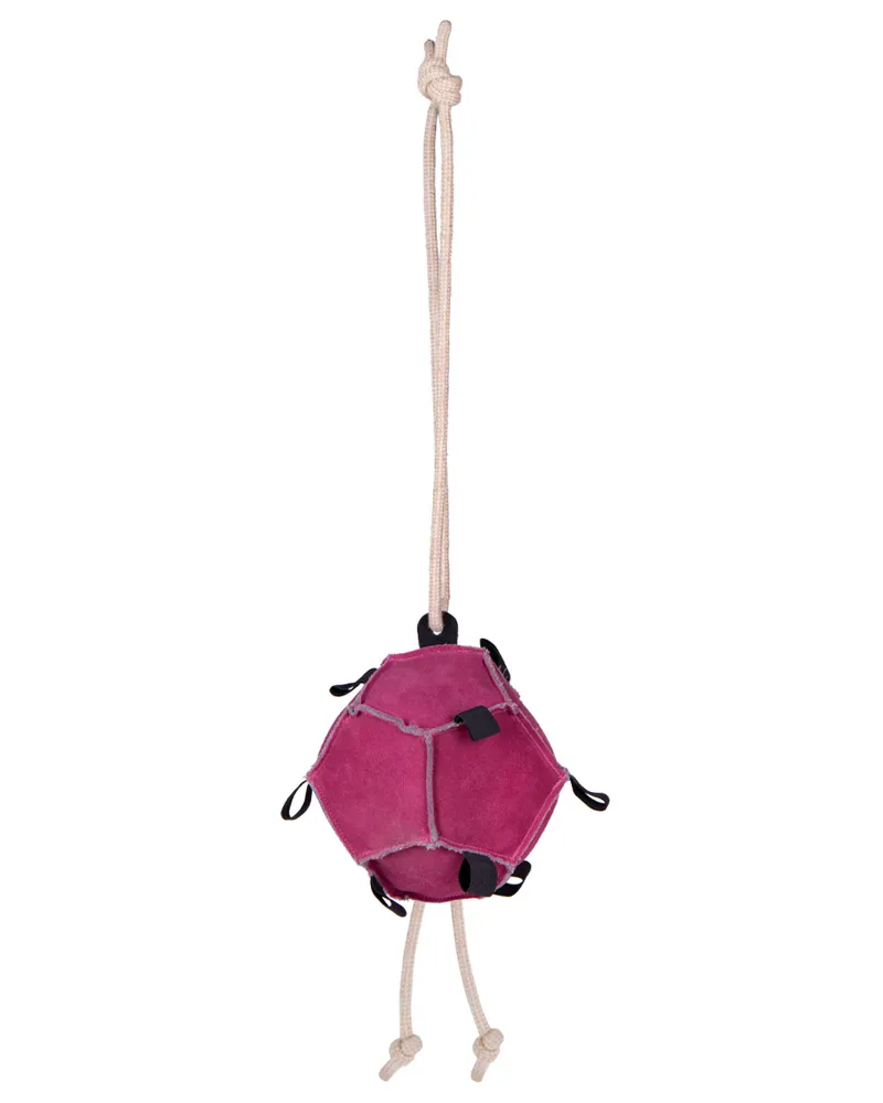 QHP Horse Toy Ball in Pink